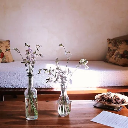 Tenuta Fattoria Vecchia סקאנסאנו