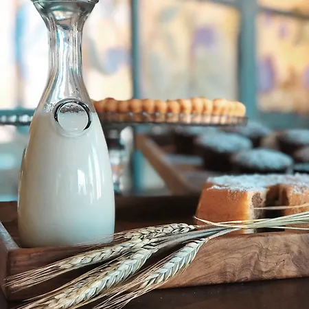 Tenuta Fattoria Vecchia מלון 2*