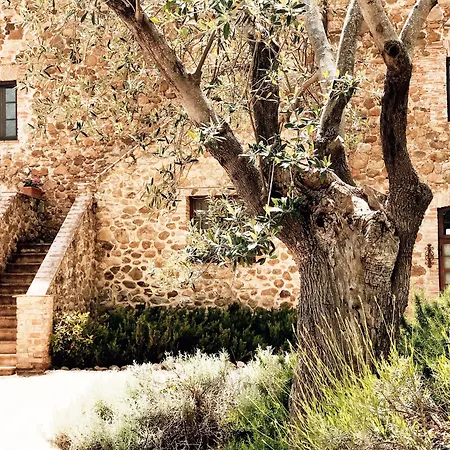 מלון Tenuta Fattoria Vecchia 2*