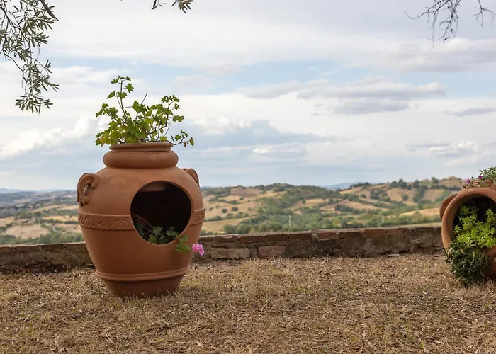 Tenuta Fattoria Vecchia